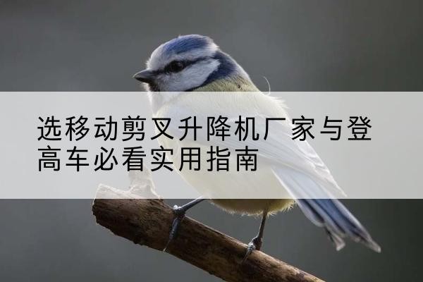 白城电动升降机厂家-选移动剪叉升降机厂家与登高车必看实用指南