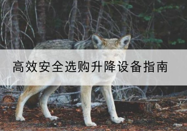 白城升降货梯厂家推荐-*安全选购升降设备指南