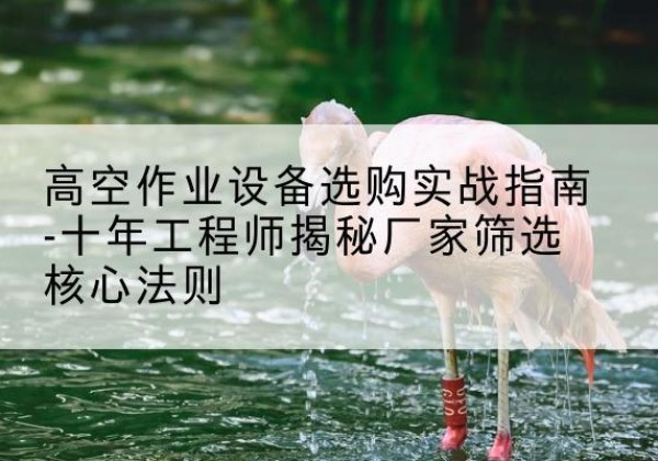 白城剪叉式升降机厂家-高空作业设备选购实战指南-十年工程师揭秘厂家筛选核心法则